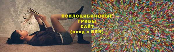 эйфоретик Алексеевка