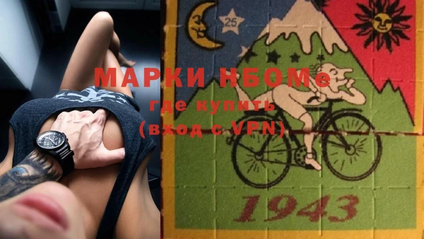 дурь Алексин